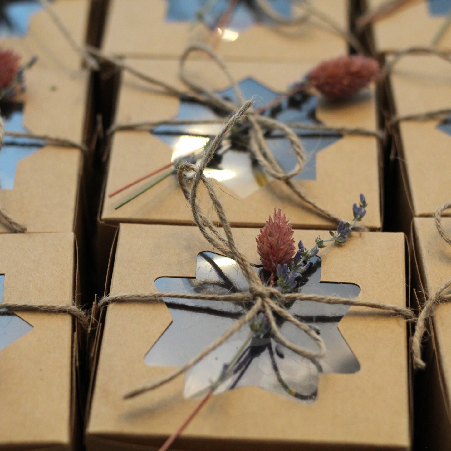 Bloom + Bite Box