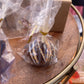 Thanksgiving Cake Pop Gift Set