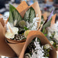 Bloom + Bite Box